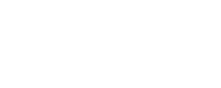 Alem Drone League